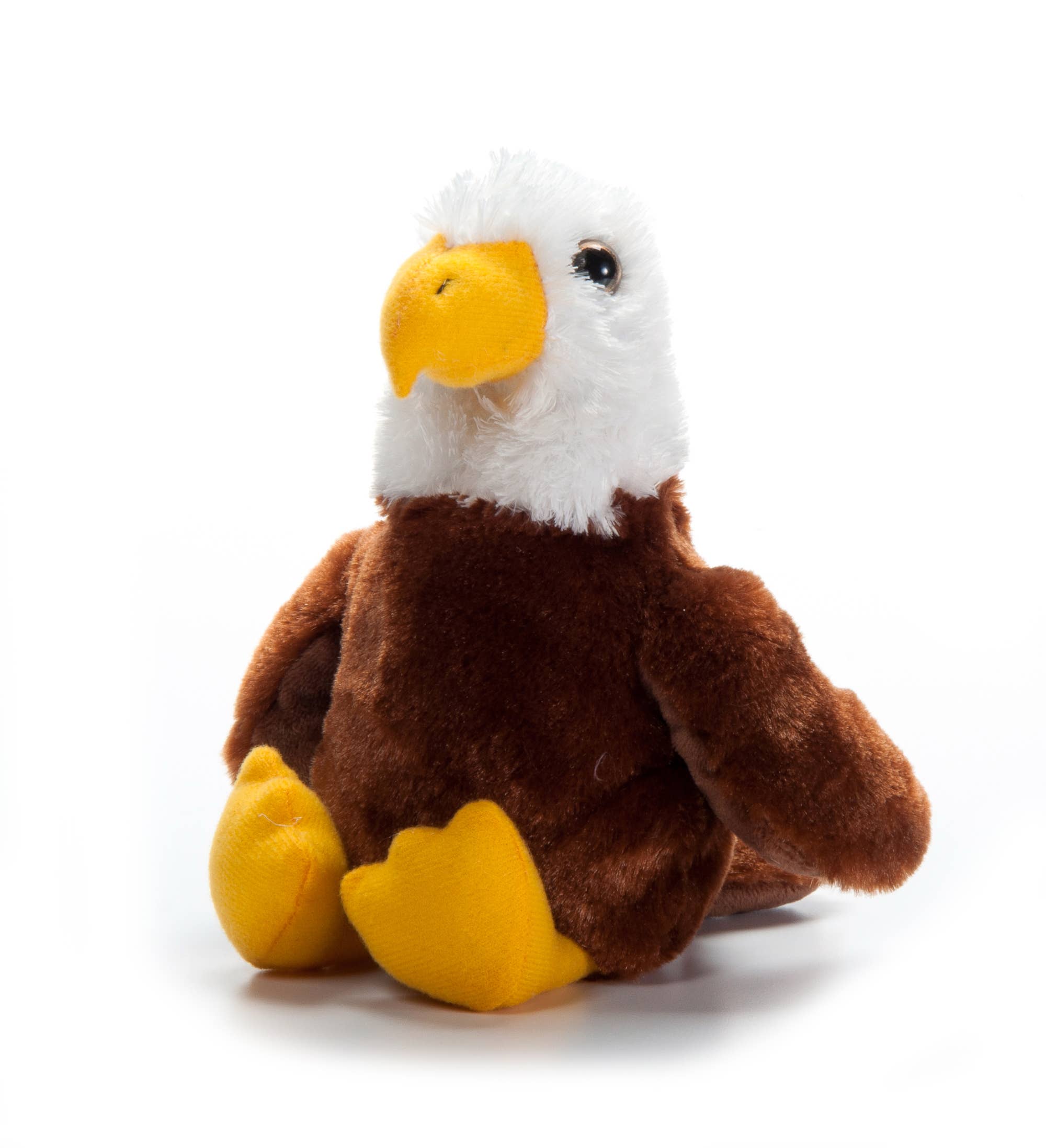 Bald Eagle 8